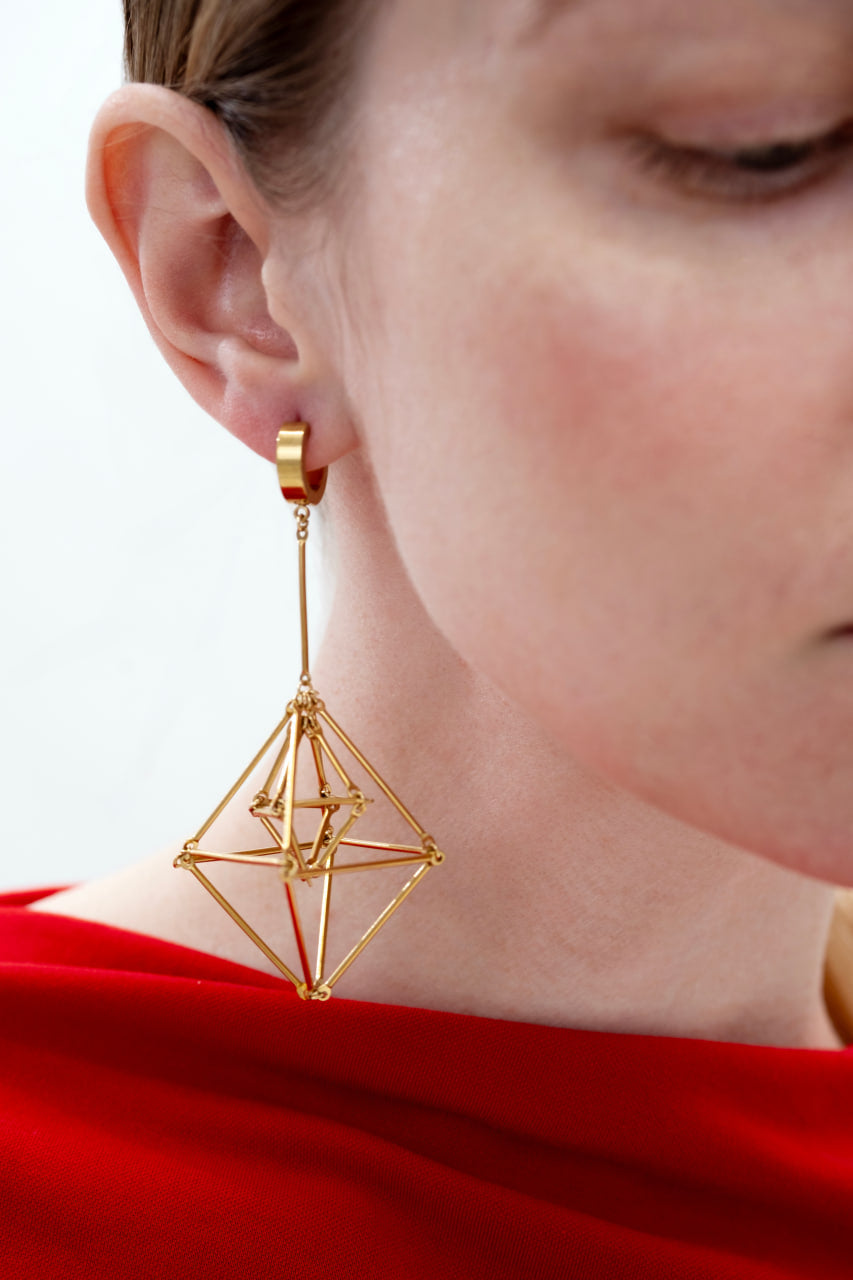 3D Spider earrings
