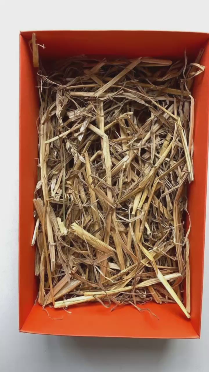 Straw Spider Box: Decorations